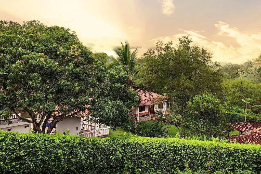 Finca Es Vedra Medellín Alpesi faház