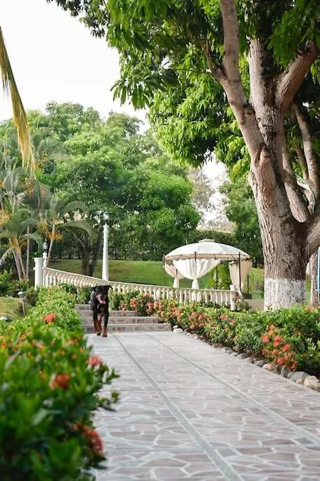 Finca Es Vedra Medellín Alpstuga